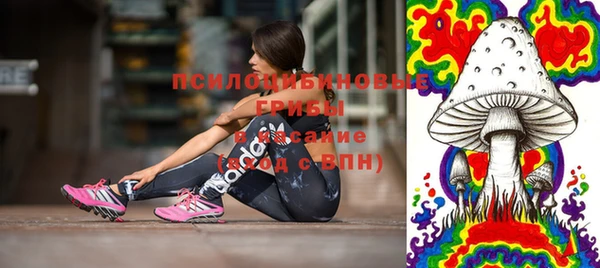 ГАЛЛЮЦИНОГЕННЫЕ ГРИБЫ Кущёвская