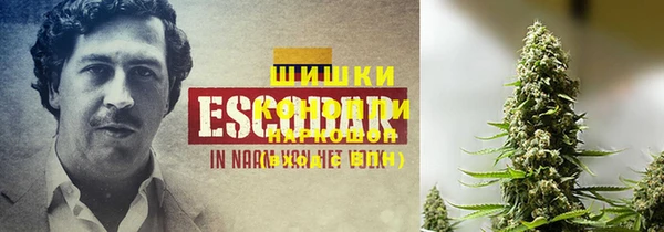 дживик Александровское