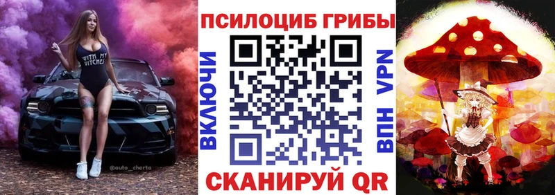 Купить  Сосновый Бор  Псилоцибиновые грибы Magic Shrooms 